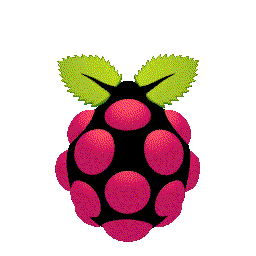 Raspberry Pi
