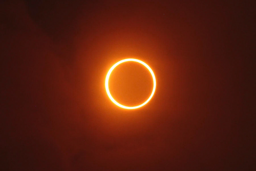 El gran show de la naturaleza