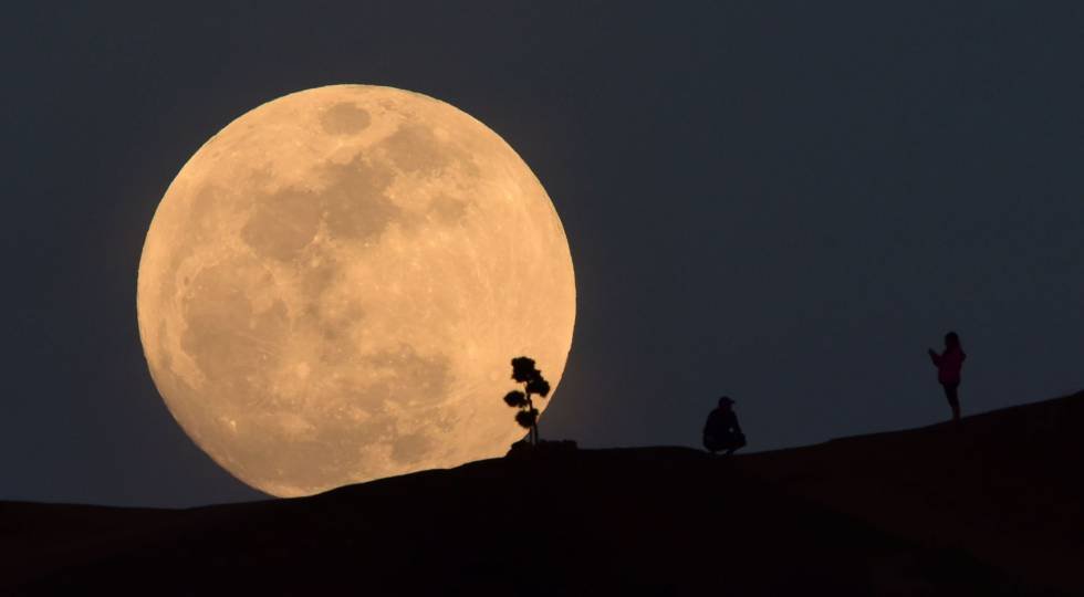 Una vital compañera