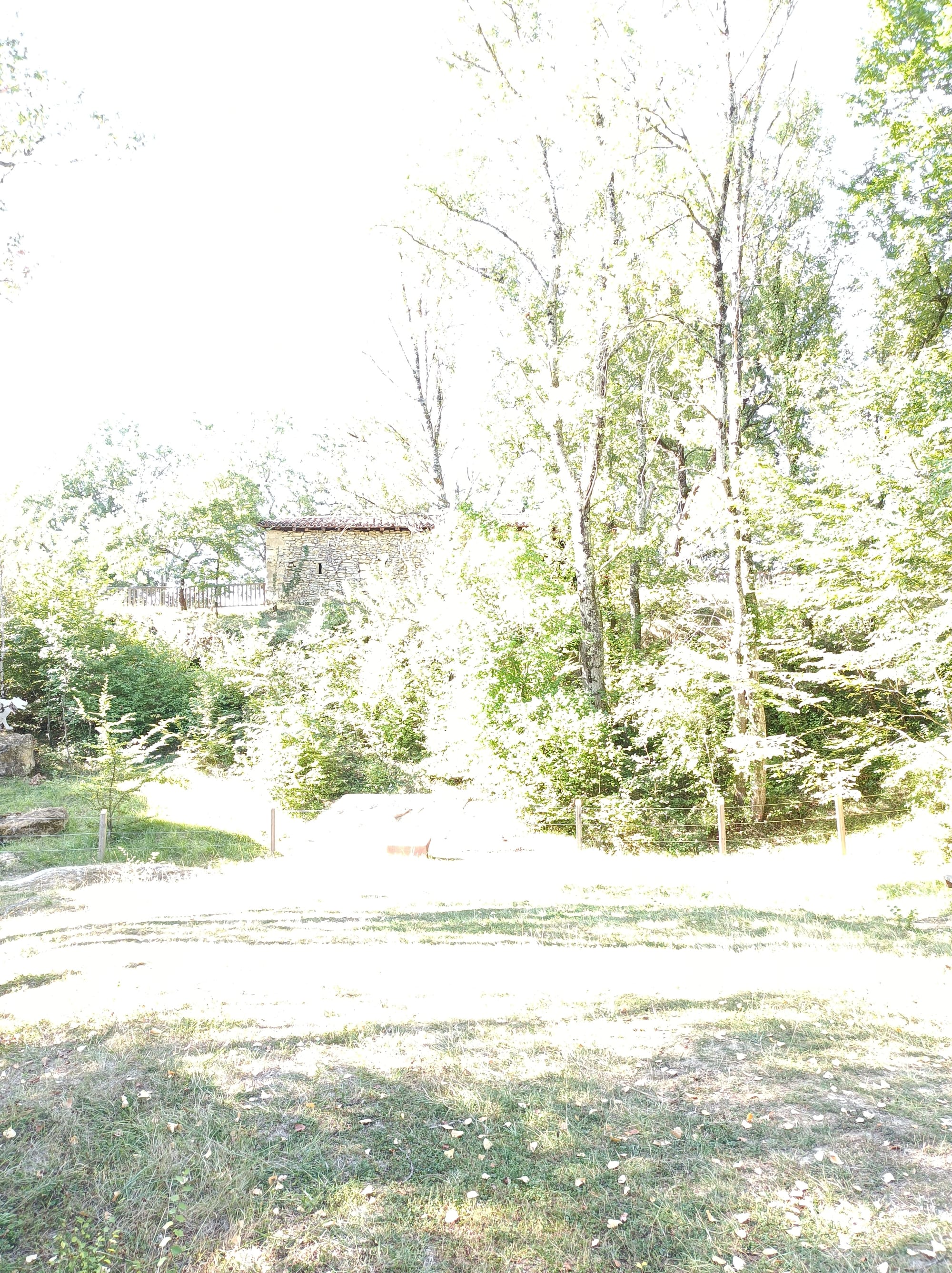 SITE PALEONTOLOGIQUE