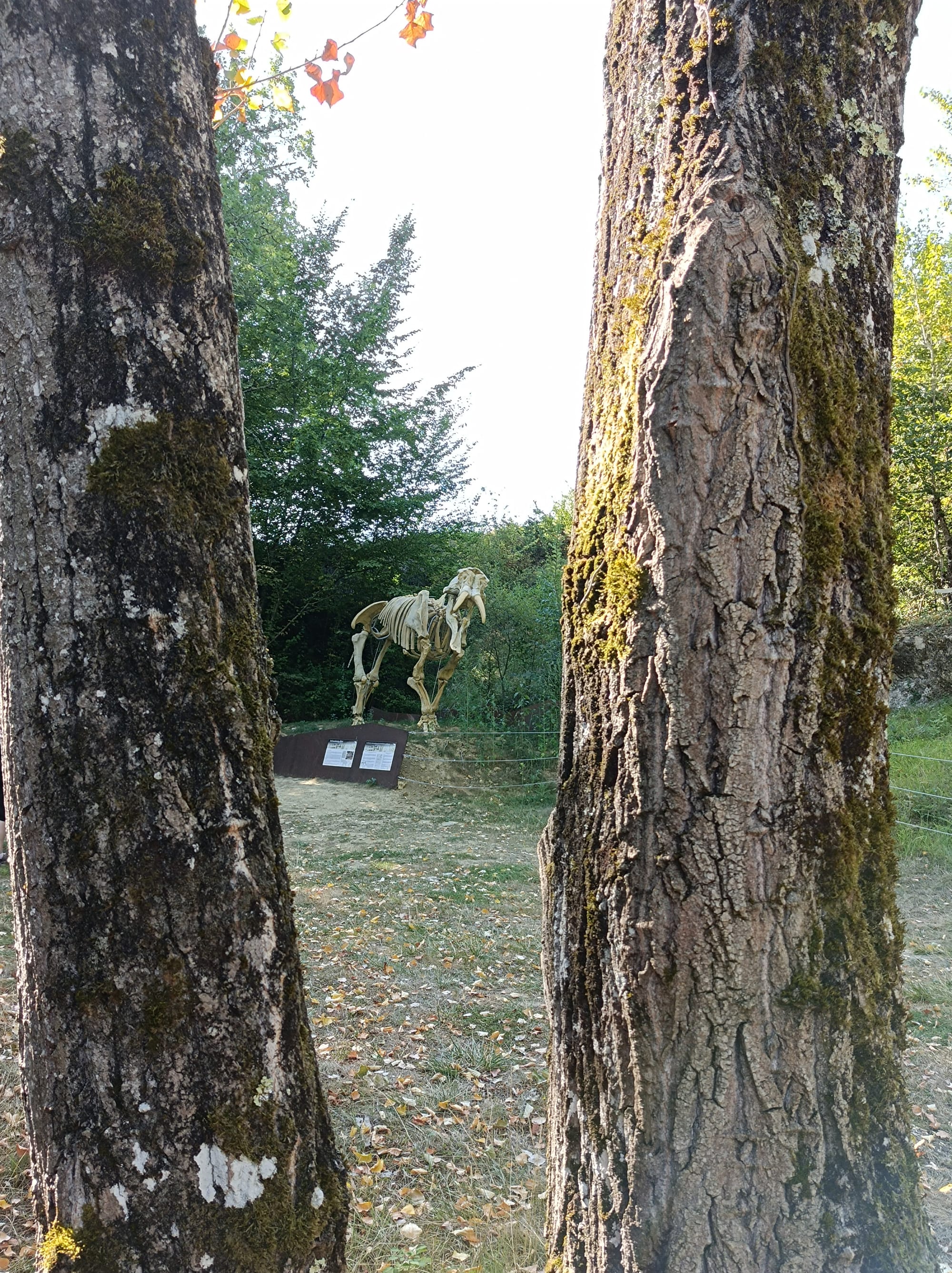 SITE PALEONTOLOGIQUE