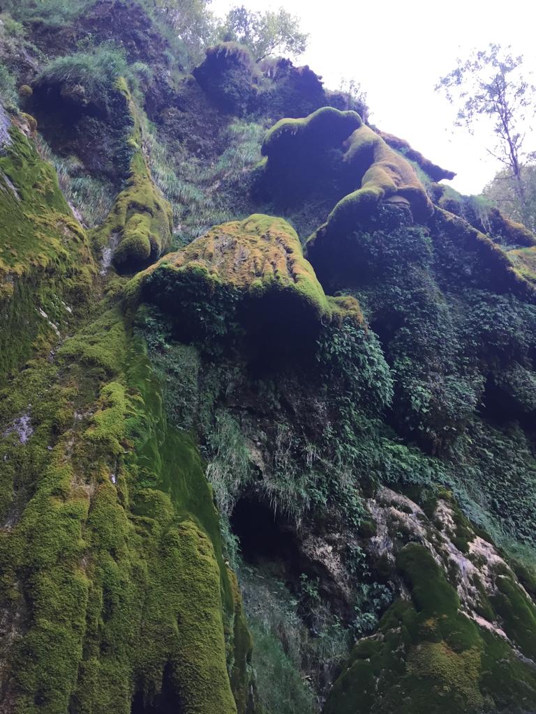 GOUFFRE D'ESPARROS ET CASCADE