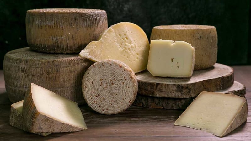 Formaggi (pecorino, vacchino, misto pecorino e vacchino, caciocavallo podolico....)