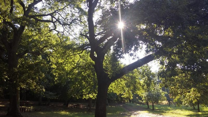 Chiesa della Madonna del Monte
