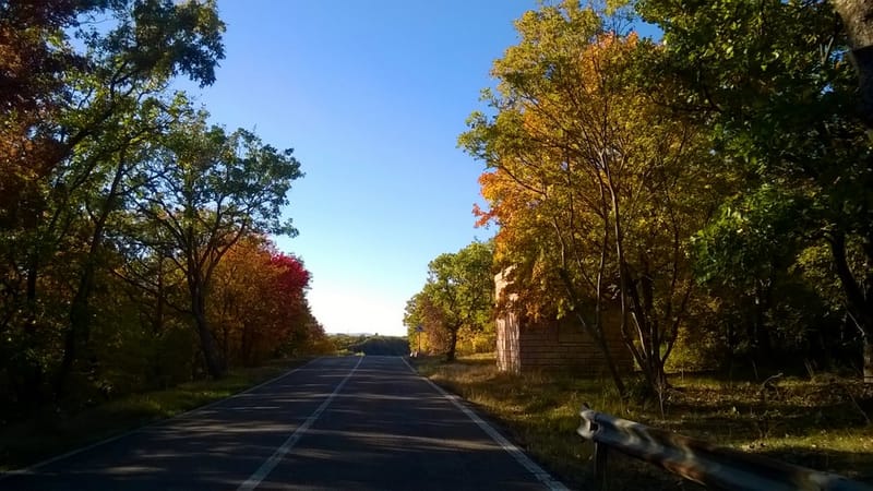Il Bosco, la bellezza dei suoi colori, gli asparagi selvatici, i funghi...