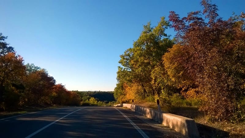Il Bosco, la bellezza dei suoi colori, gli asparagi selvatici, i funghi...