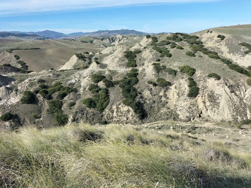 Calanchi, Pascoli e Seminati C.da Sant' Angelo e Lombone