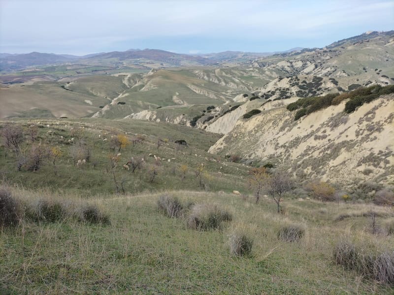 Calanchi, Pascoli e Seminati C.da Sant' Angelo e Lombone