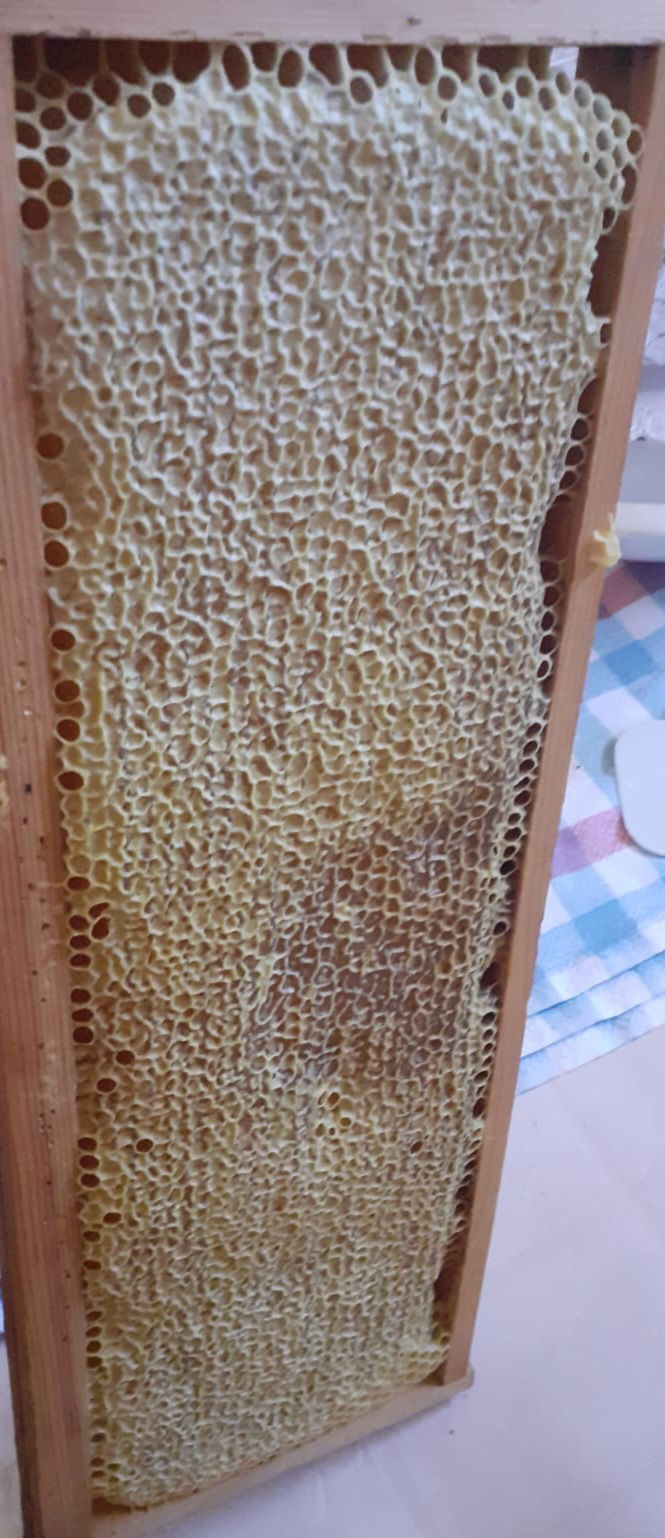 Il Miele, ne abbiamo di tutti i colori (u mel)