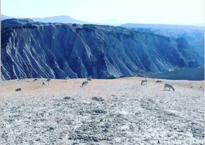 I RILIEVI COLLINARI DELL’AVANFOSSA BRADANICA E DEL BACINO DI SANT’ARCANGELO