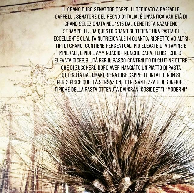 Pasta di Grano Duro Senatore Cappelli, Coltivato in Contrada Lombone - Azienda Agricola  Franco Tantone 