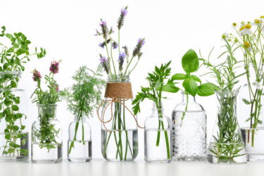 I MASCIARI A SALANDRA - Tra Sacro e Profano, tra Povertà e Dignità 