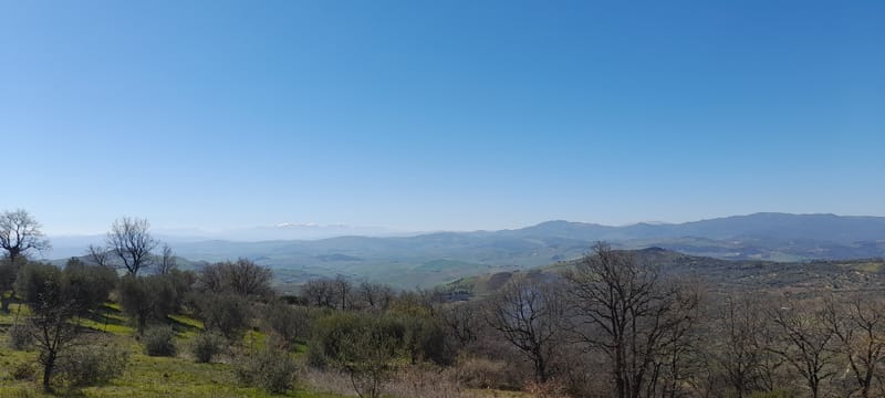 Salandra e S. Angelo visti dalla Piana di S. Giovanni