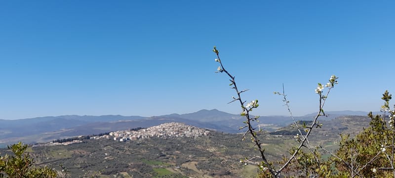 Salandra e S. Angelo visti dalla Piana di S. Giovanni
