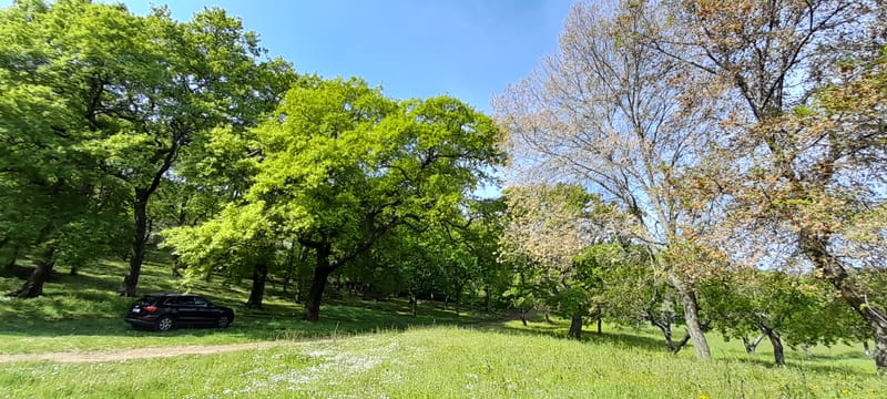 Chiesa della Madonna del Monte