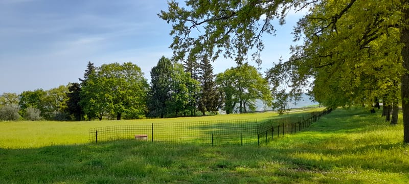 Chiesa della Madonna del Monte