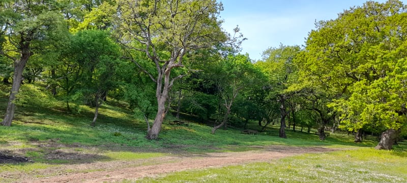 Chiesa della Madonna del Monte