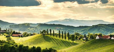 Reise- und Genussregion Südsteiermark