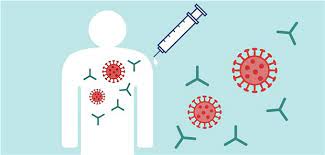 Impftiterbestimmung, für alle sinnvoll?!