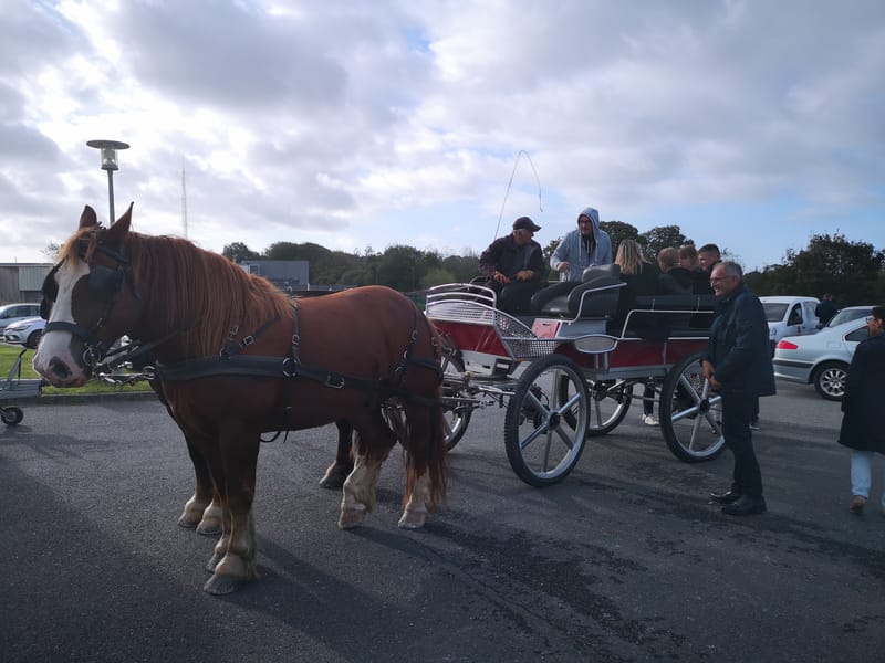 Fête de l'Économie Locale | 2019
