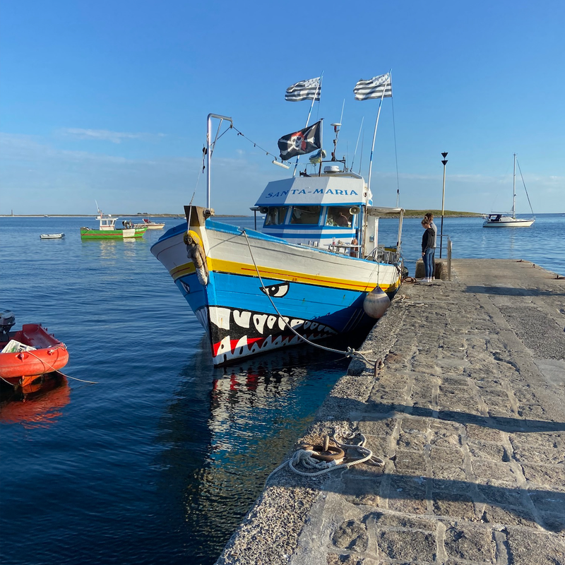 Journée de cohésion à Concarneau | 2022
