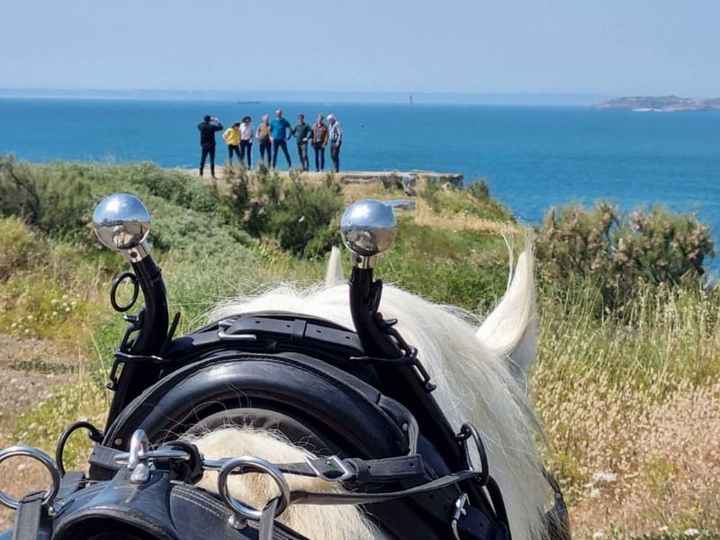 Journée cohésion à Saint-Malo