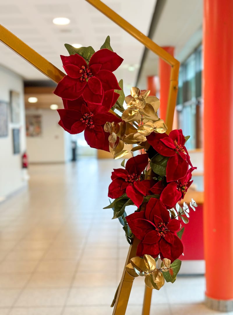 Cérémonie de remises des diplomes | 2023