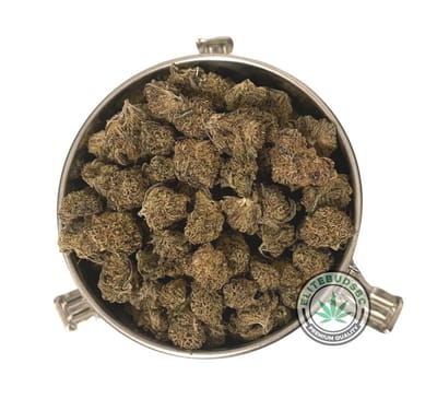 Exploring the Benefits of Buying Bulk Weed for Medical Marijuana Patients