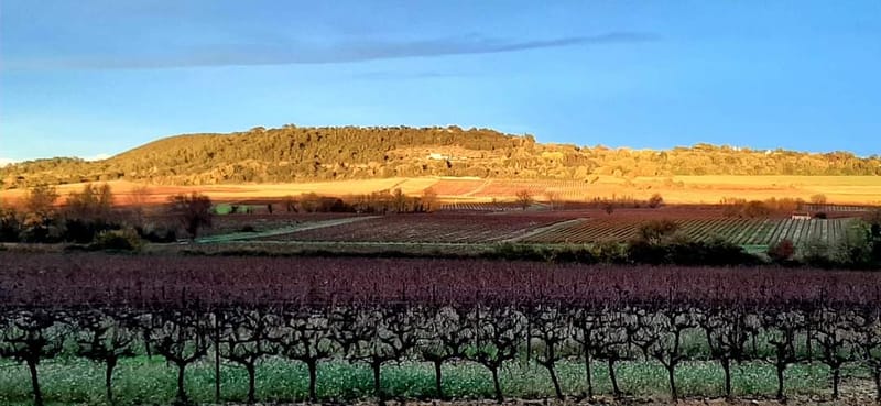 "Nous devons regarder longtemps avant de parvenir à voir" Henri-David THOREAU