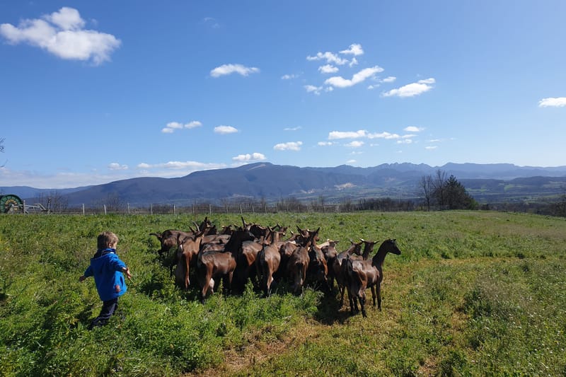 Ferme Baracand