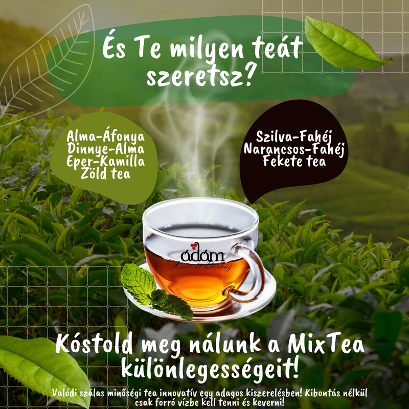 Kóstold meg a Mixtea különlegességeit!