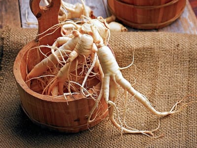 ¿Qué es el ginseng y para qué sirve?