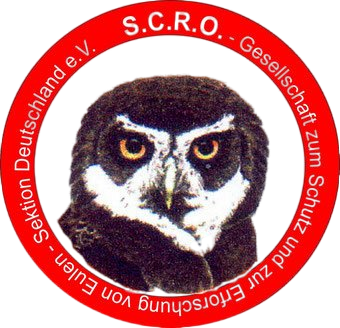 Wir unterstützen den SCRO bei ihren Projekten zum Schutz von Eulen