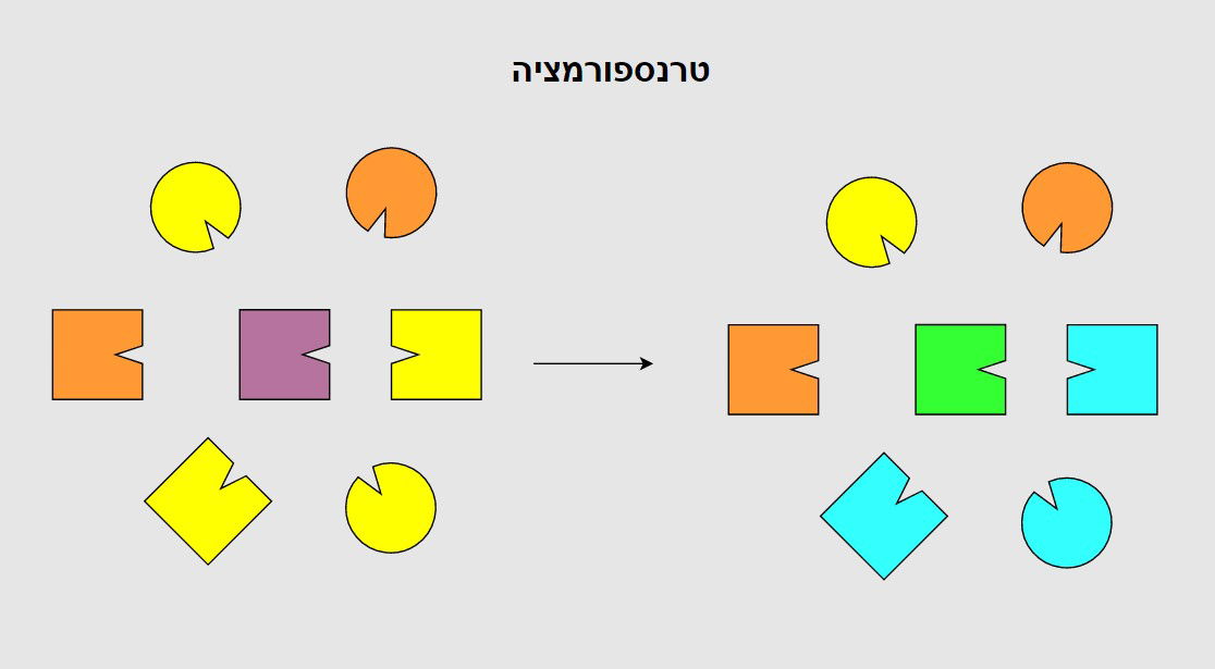 חמישה גוונים של טרנספורמציה