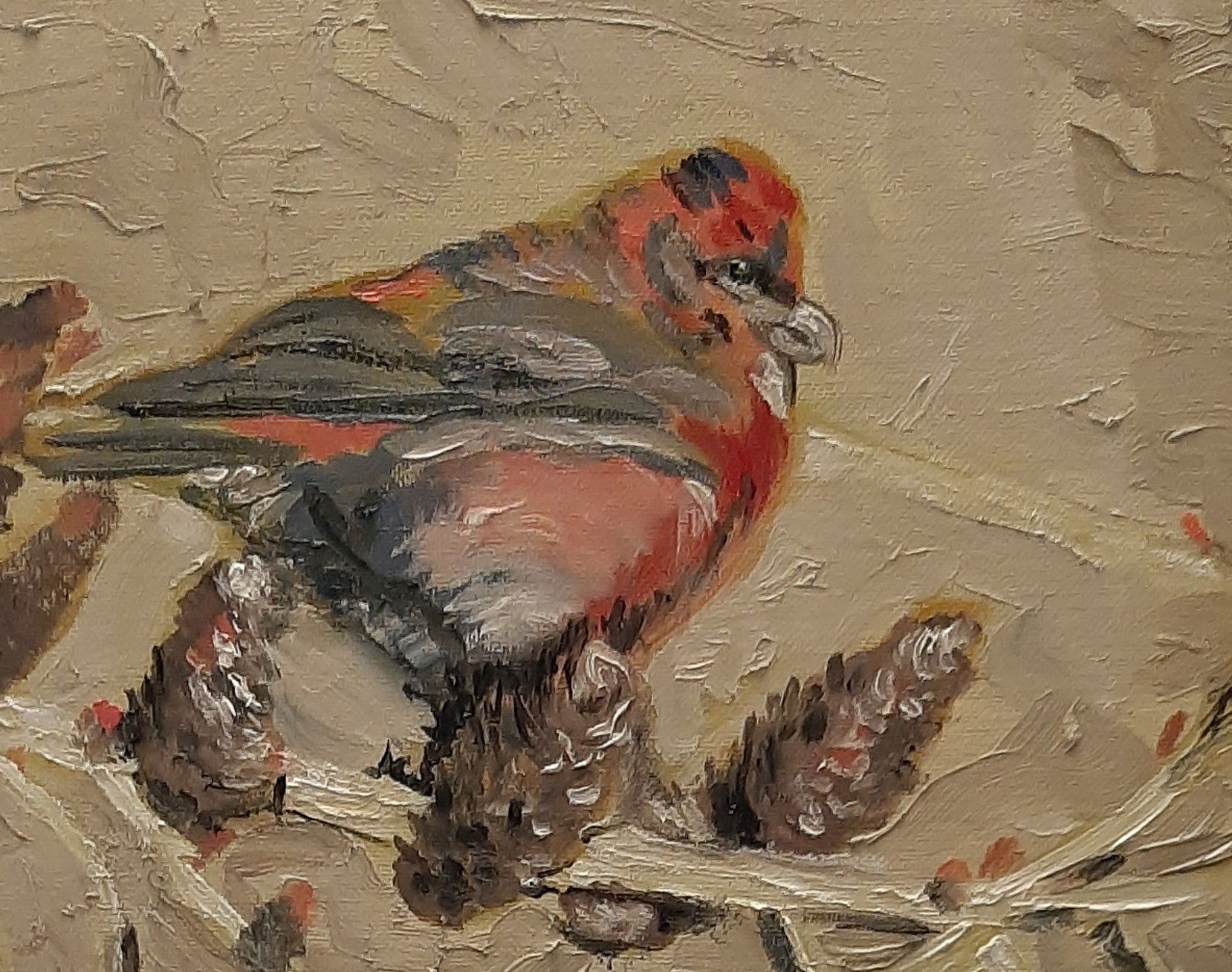 Red Crossbill Finds Treasure