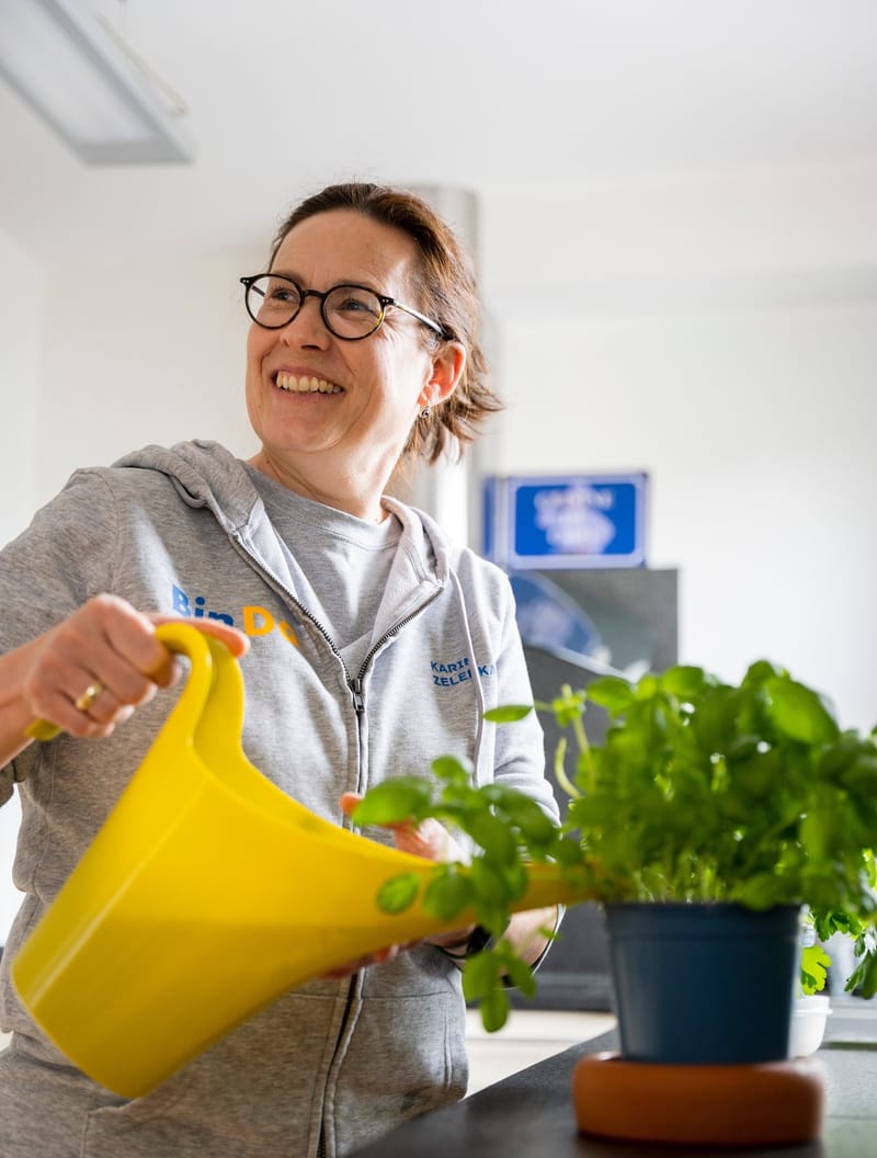 Unterstützung im Haushalt