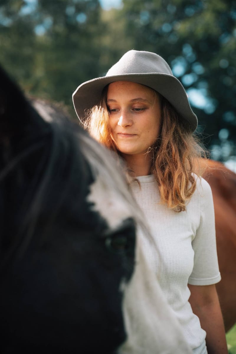 Coaching mit deinem Pferd