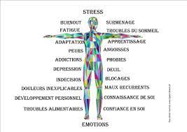 la kinésiologie, c&#039;est quoi ? image