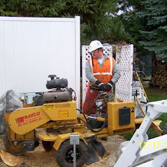 Tree Services