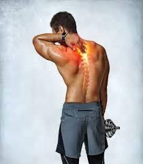 Musculaires et articulaires