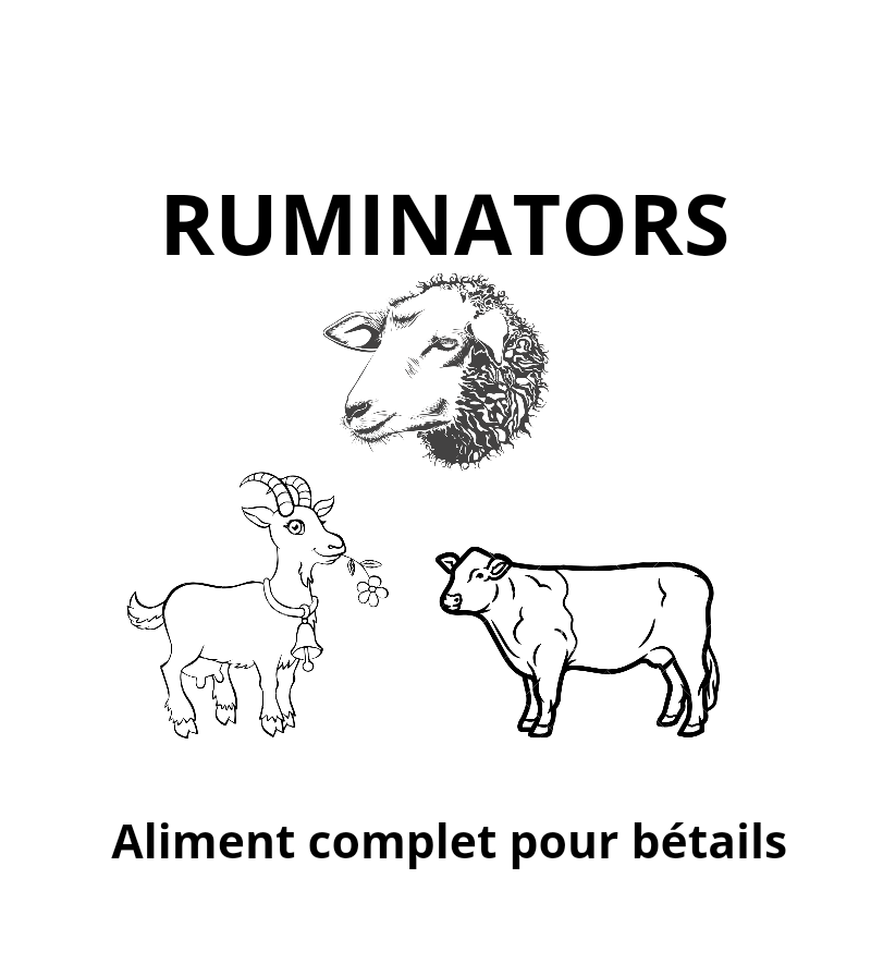 ALIMENT BOVINS OVINS CAPRINS