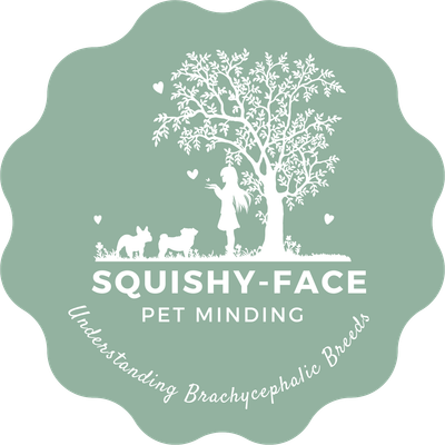 Squishy Face Pet Minding