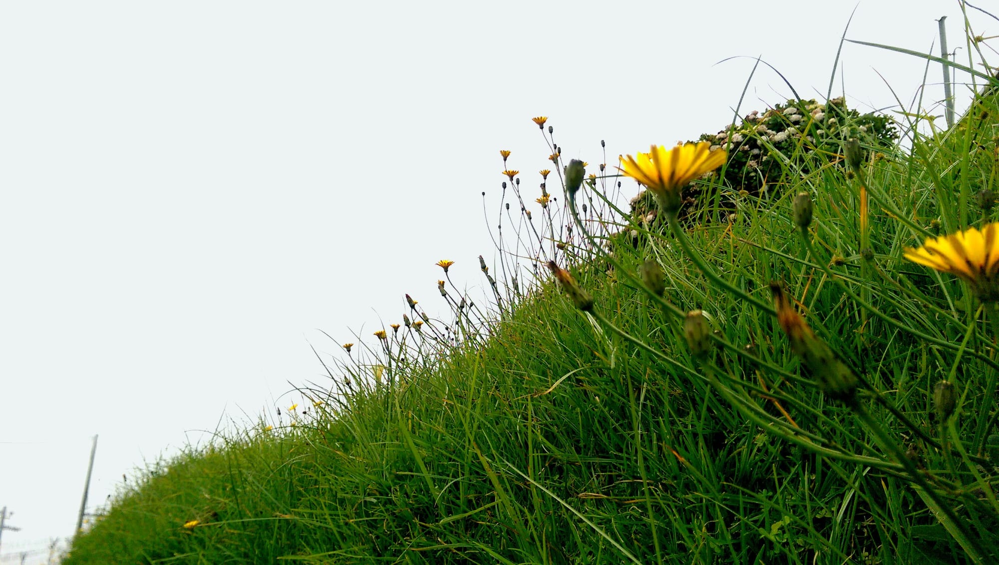 Conquering Sri Lanka's Crown Jewel: Piduruthalagala Mountain