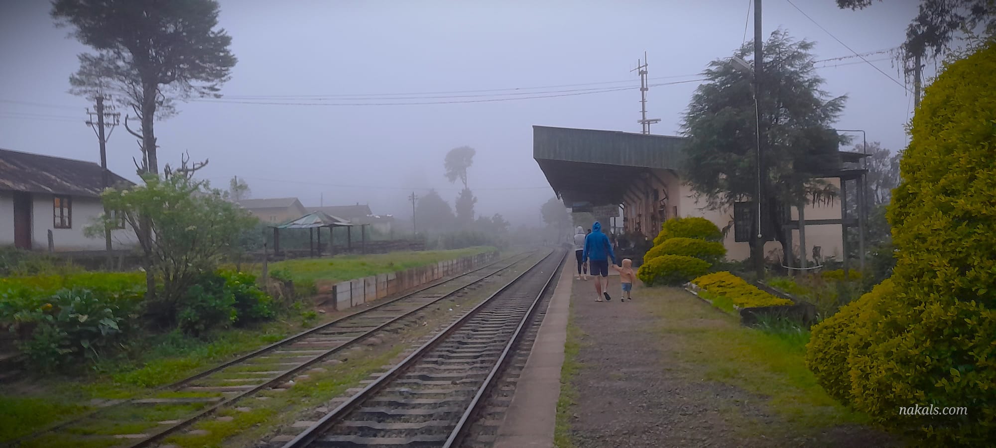 Sri Lanka's Highest Station: Pattipola railway station.