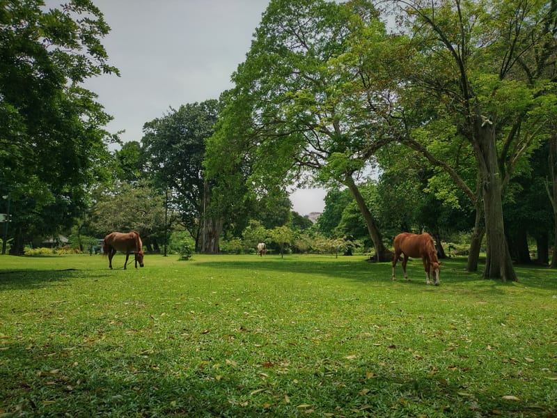 Viharamahadevi Park (Colombo)