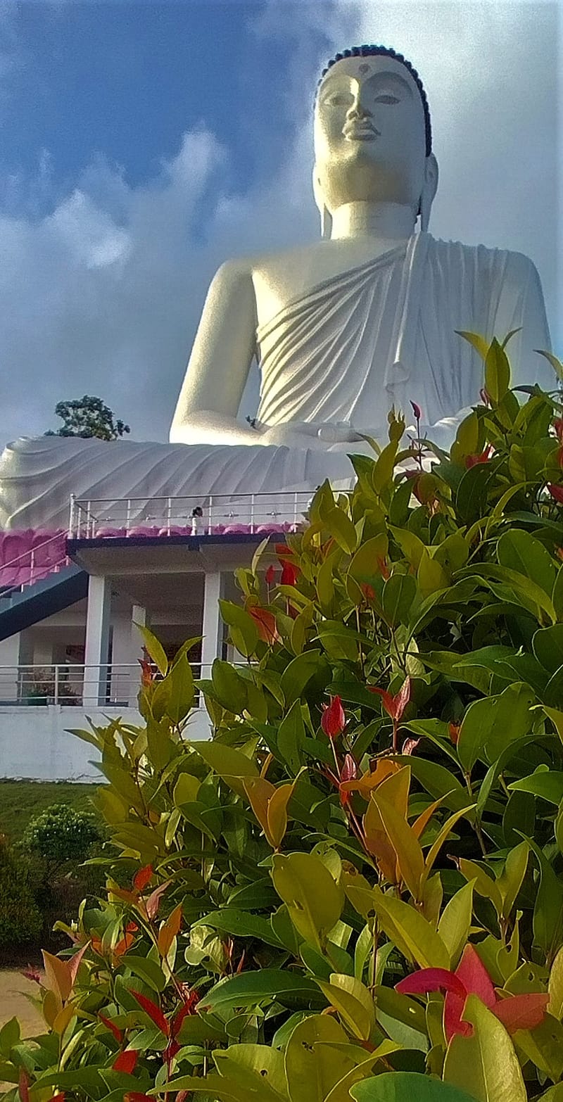 Unraveling the Mystique of Korathota Raja Maha Viharaya (Korathota Temple)