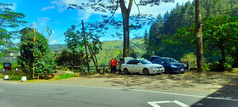 Beyond the Steaming Cup: Unveiling the Emerald Heart of Sri Lanka - Hatton