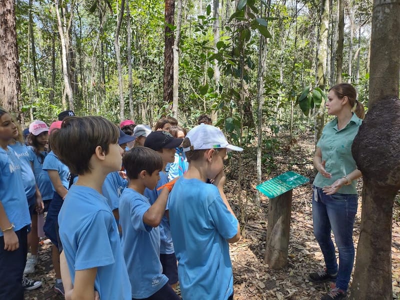 Redescobrindo o Estado do Espírito Santo