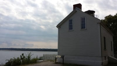 Week 8 Reflection Discussion