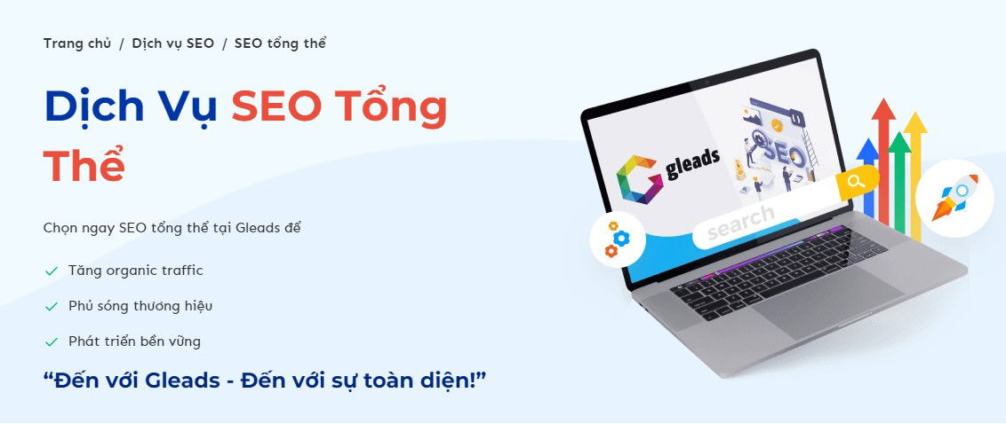 Dich vu seo tong the uy tin tai gleads